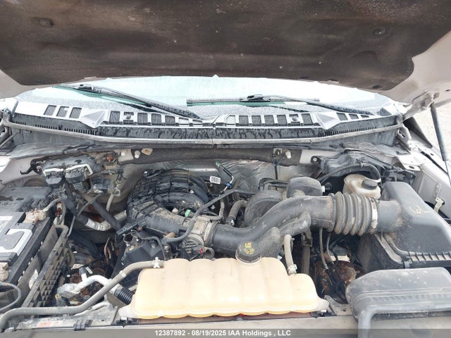 1FTEW1E88FKE26282 Ford F-150