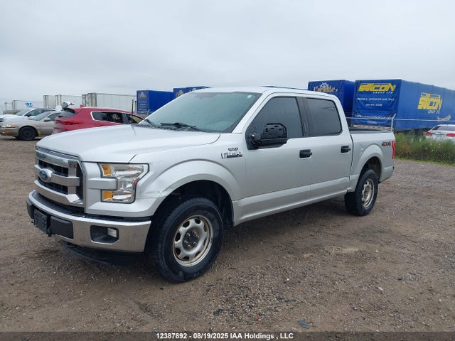 1FTEW1E88FKE26282 Ford F-150