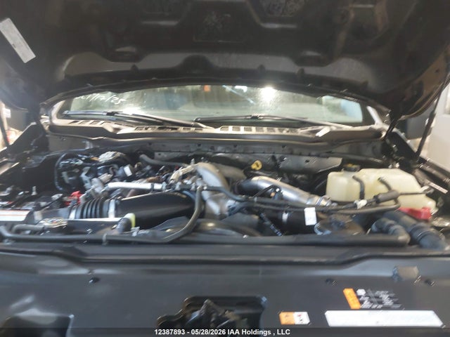 12387893 :رقم المزاد ، 1FT8W3BT5PEE06105 vin ، 2023 Ford F350 Super Duty مزاد بيع
