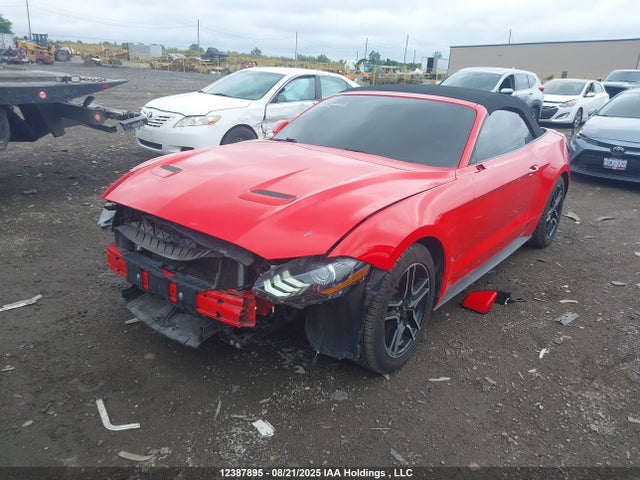 1FATP8UH7K5171055 Ford 4v