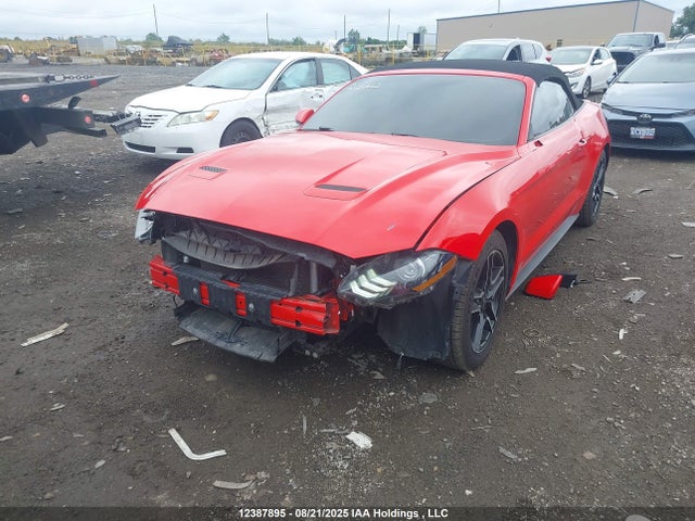 1FATP8UH7K5171055 Ford 4v