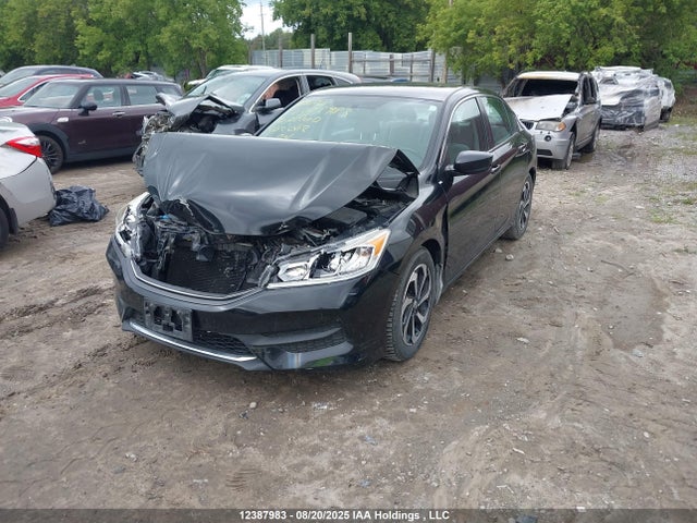 1HGCR2F31GA802062 Honda k24w1