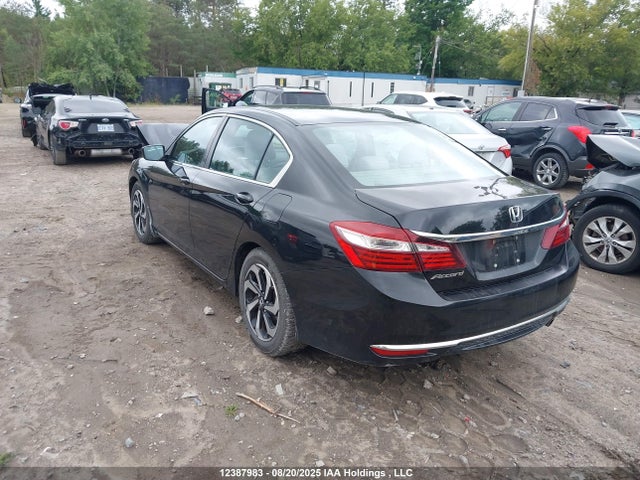 1HGCR2F31GA802062 Honda k24w1