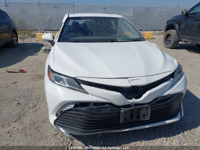 4T1C11AKXLU350633 Toyota CAMRY LE