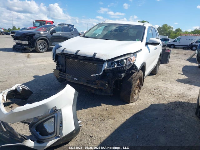 5XYPGDA37HG212572 KIA Sorento