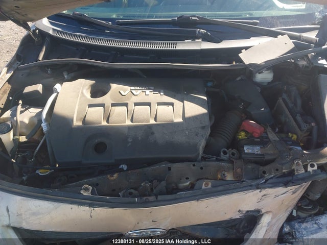 Продаж на аукціоні авто 2009 Toyota Corolla S/le/xle, vin: 2T1BU40E99C183515, номер лоту: 12388131