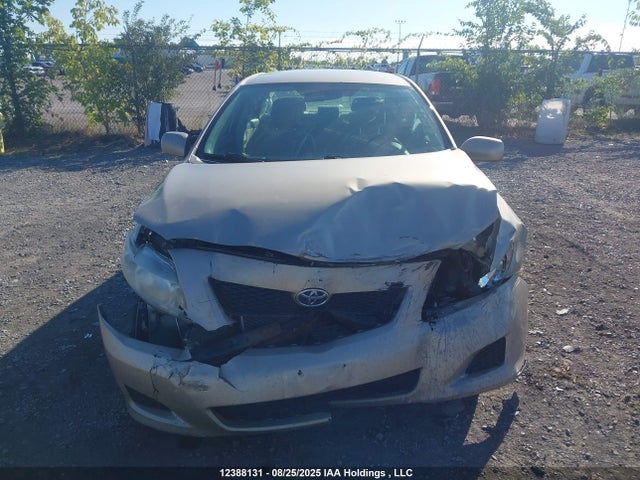 Продаж на аукціоні авто 2009 Toyota Corolla S/le/xle, vin: 2T1BU40E99C183515, номер лоту: 12388131
