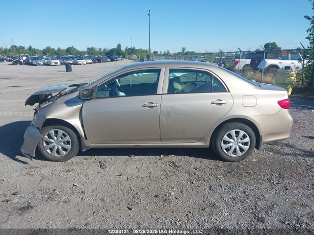 Продаж на аукціоні авто 2009 Toyota Corolla S/le/xle, vin: 2T1BU40E99C183515, номер лоту: 12388131