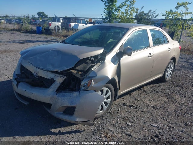 Продаж на аукціоні авто 2009 Toyota Corolla S/le/xle, vin: 2T1BU40E99C183515, номер лоту: 12388131
