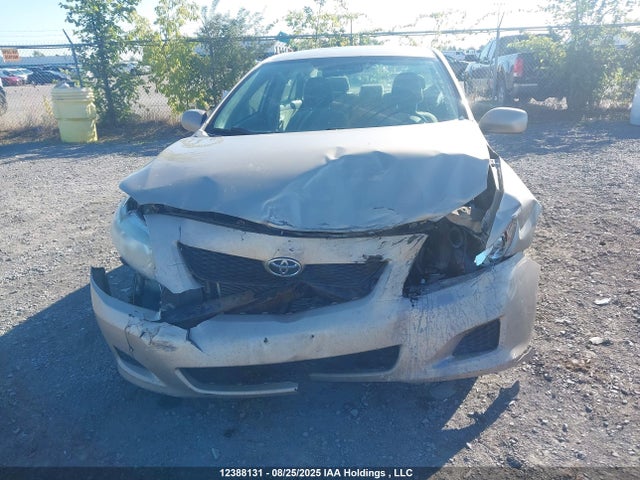 Продаж на аукціоні авто 2009 Toyota Corolla S/le/xle, vin: 2T1BU40E99C183515, номер лоту: 12388131