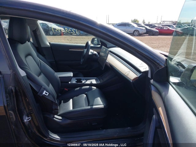 Tesla MODEL 3 2021 5YJ3E1EA3MF989134 Image 5