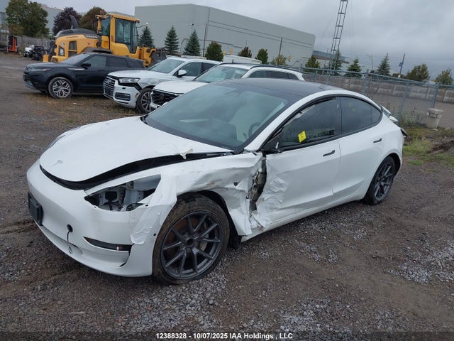 Tesla MODEL 3 2021 5YJ3E1EA8MF093816 Image 2