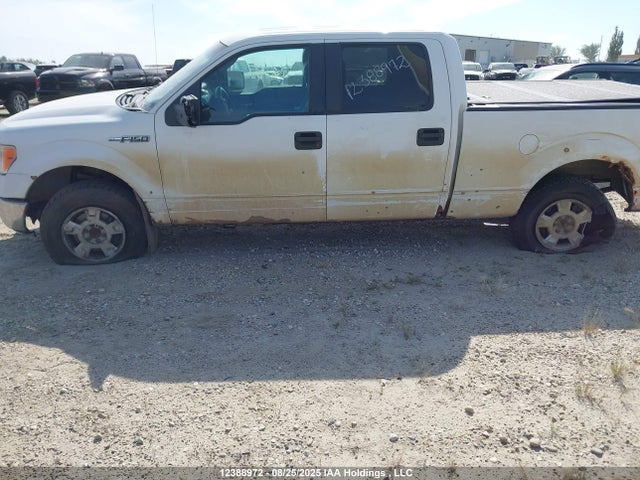 Ford F-150 2014 1FTFW1EF1EKD22489 Image 6