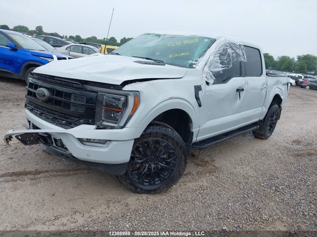 Ford gtdi 2023 1FTFW1E83PFD04573 Image 2