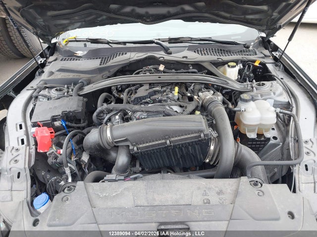 Продаж на аукціоні авто 2025 Ford Mustang, vin: 1FAGP8UH7S5114372, номер лоту: 12389094