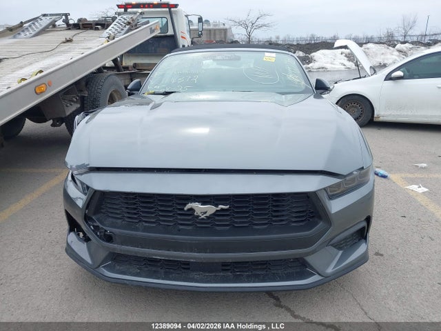 Продаж на аукціоні авто 2025 Ford Mustang, vin: 1FAGP8UH7S5114372, номер лоту: 12389094