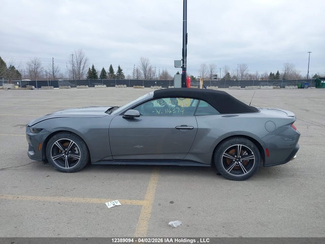 Продаж на аукціоні авто 2025 Ford Mustang, vin: 1FAGP8UH7S5114372, номер лоту: 12389094