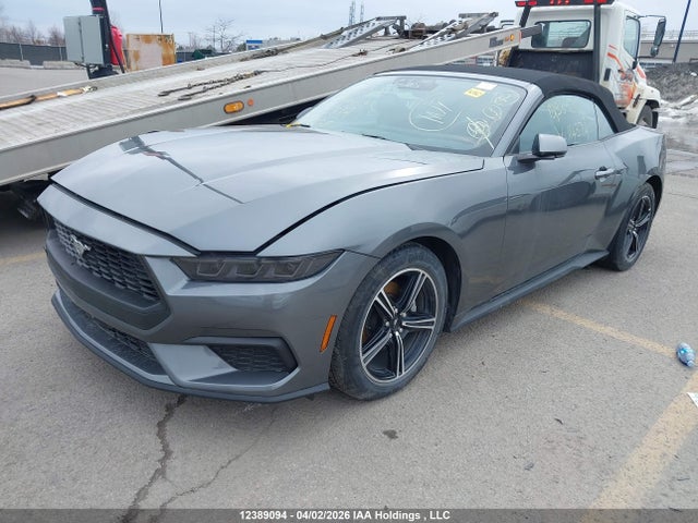 Продаж на аукціоні авто 2025 Ford Mustang, vin: 1FAGP8UH7S5114372, номер лоту: 12389094