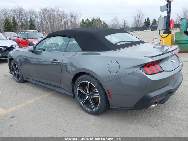 Продаж на аукціоні авто 2025 Ford Mustang, vin: 1FAGP8UH7S5114372, номер лоту: 12389094