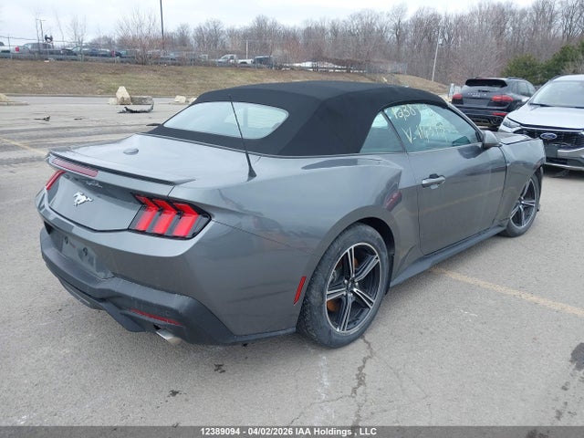 Продаж на аукціоні авто 2025 Ford Mustang, vin: 1FAGP8UH7S5114372, номер лоту: 12389094