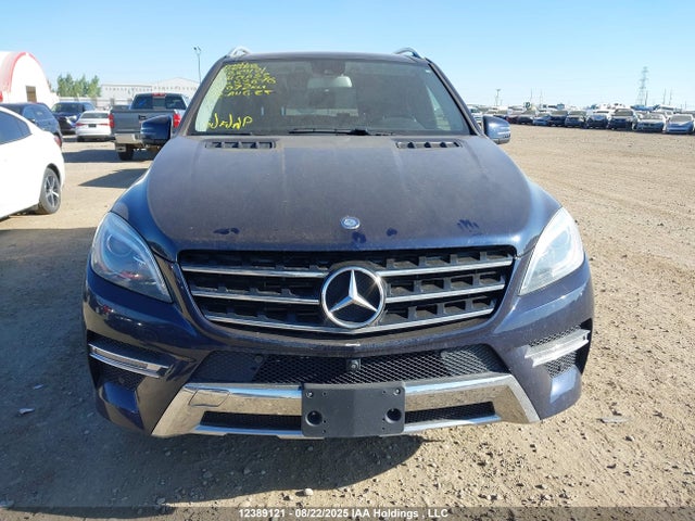 Mercedes-Benz 2014 2014 4JGDA2EB5EA333876 Image 13