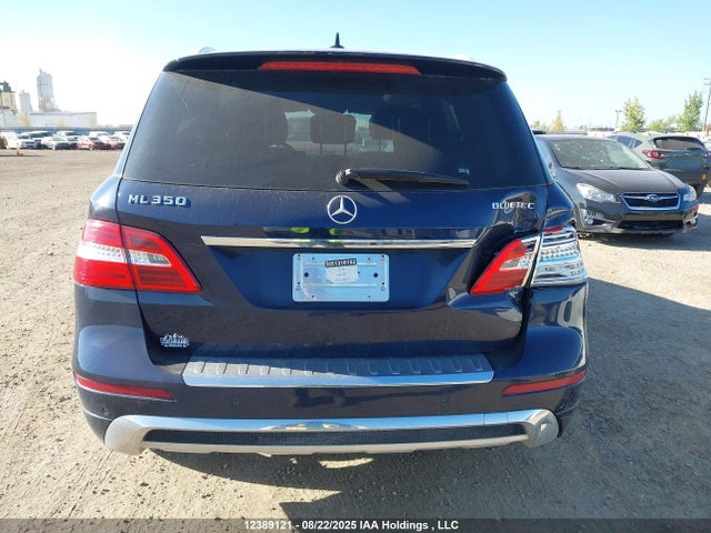 Mercedes-Benz 2014 2014 4JGDA2EB5EA333876 Image 17