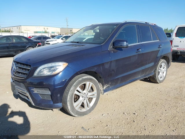 Mercedes-Benz 2014 2014 4JGDA2EB5EA333876 Image 2