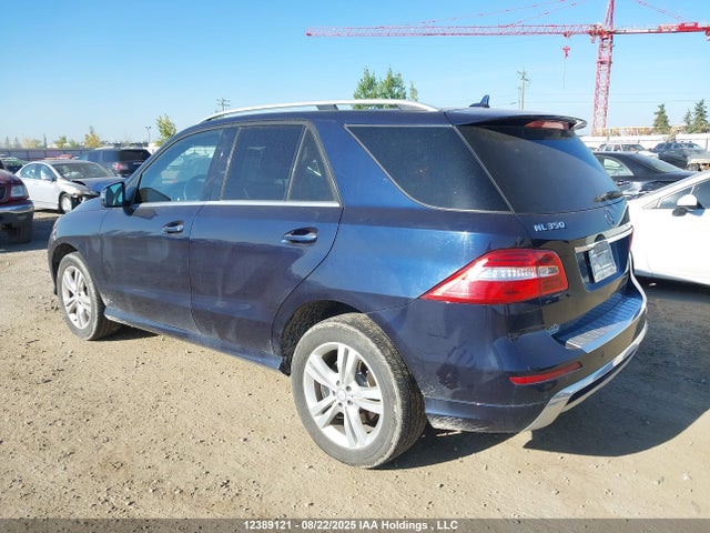 Mercedes-Benz 2014 2014 4JGDA2EB5EA333876 Image 3