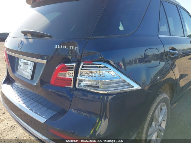 Mercedes-Benz 2014 2014 4JGDA2EB5EA333876 Image 6