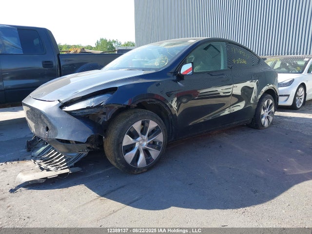Tesla Model Y 2024 7SAYGDED9RF013266 Image 2