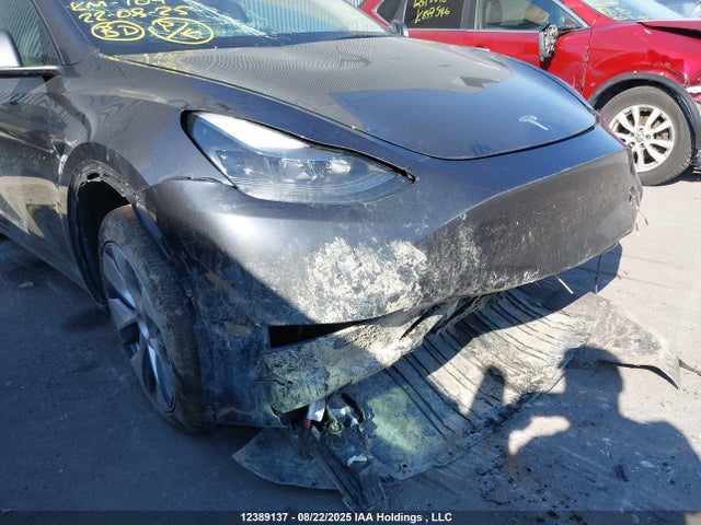 Tesla Model Y 2024 7SAYGDED9RF013266 Image 6