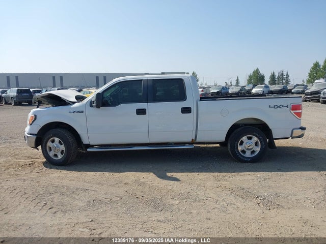 1FTFW1EF7EKG26118 Ford 2014