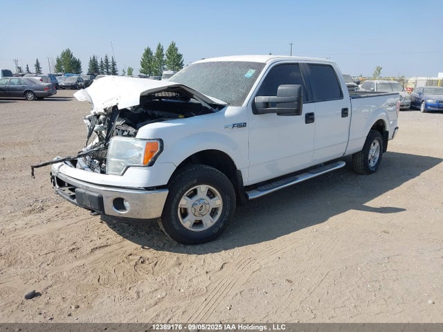 1FTFW1EF7EKG26118 Ford 2014
