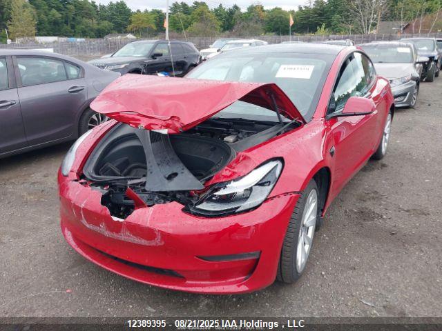 Tesla MODEL 3 2022 5YJ3E1EB4NF229692 Image 3