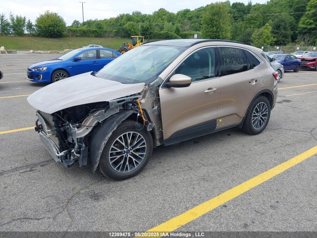 1FMCU0LZ6MUA53453 Ford hev/phev