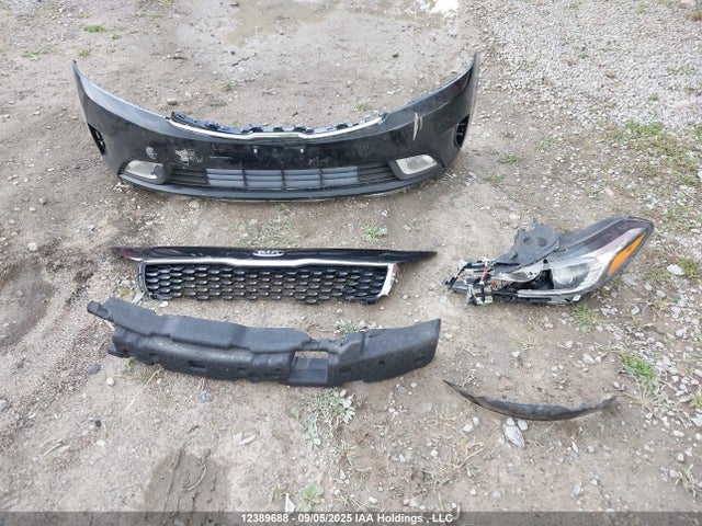 KIA gdi nu 2017 3KPFL4A88HE123187 Image 12
