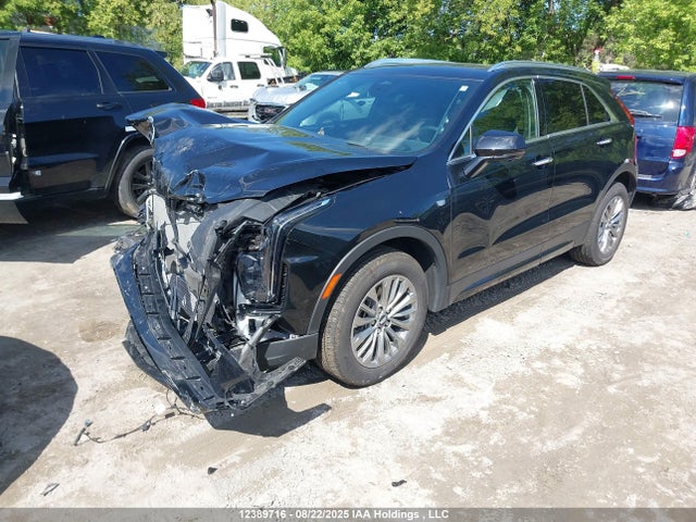 Cadillac lsy 2024 1GYFZDR42RF253144 Image 2