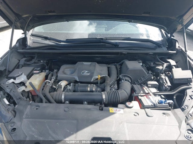 JTJBARBZ0K2183779 Lexus NX 300