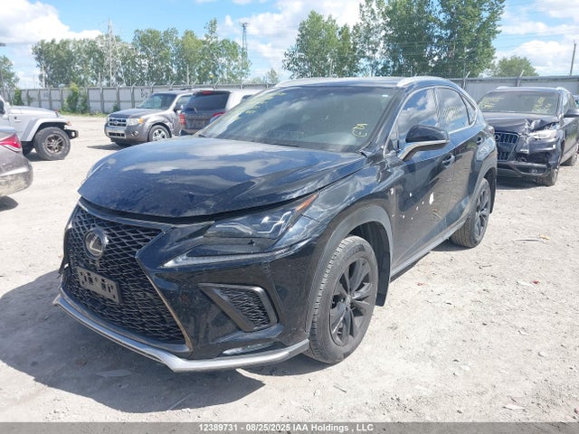 JTJBARBZ0K2183779 Lexus NX 300