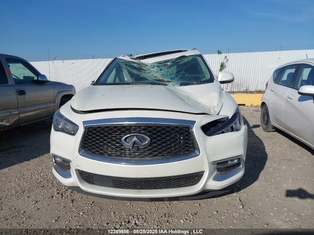 5N1DL0MM9HC530396 Infiniti QX60