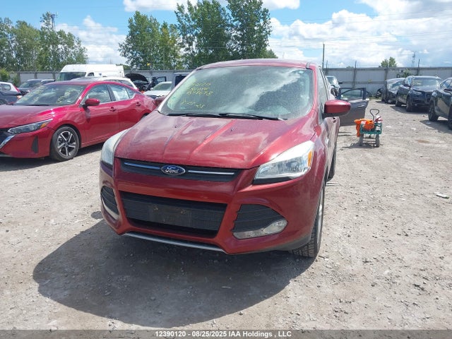 1FMCU0GXXFUB98698 Ford Escape