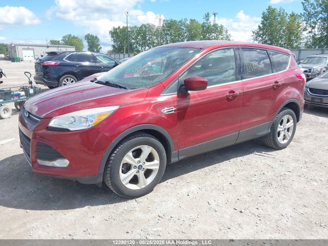 1FMCU0GXXFUB98698 Ford Escape