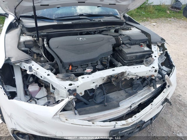 19UUB3F80KA800502 Acura j35y6