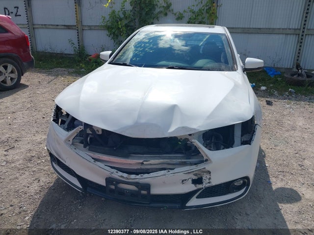 19UUB3F80KA800502 Acura j35y6
