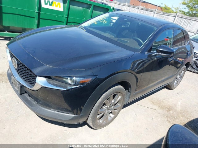 3MVDMBDL6MM207550 Mazda py
