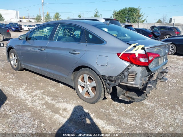 5NPE24AFXHH513183 Hyundai Sonata