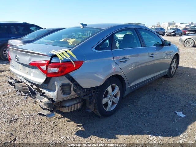 5NPE24AFXHH513183 Hyundai Sonata