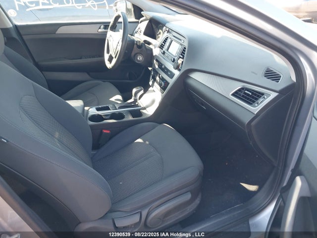 5NPE24AFXHH513183 Hyundai Sonata