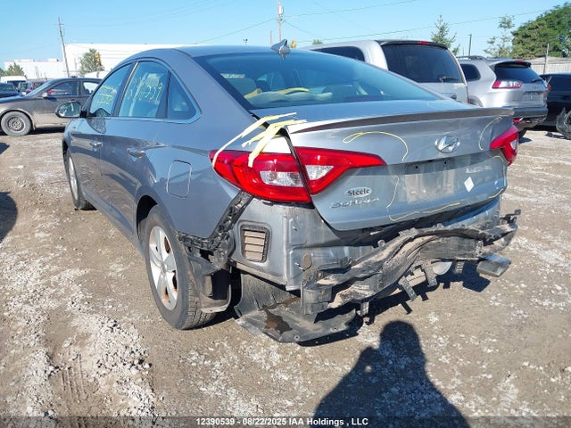 5NPE24AFXHH513183 Hyundai Sonata