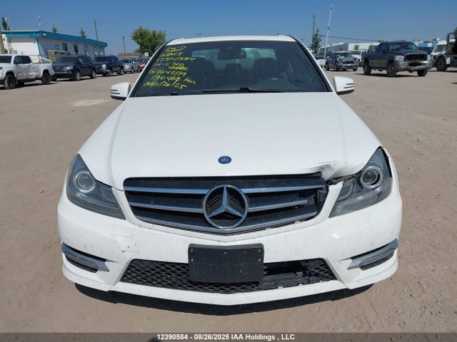 Mercedes-Benz 2014 2014 WDDGF8AB4EG164299 Image 13